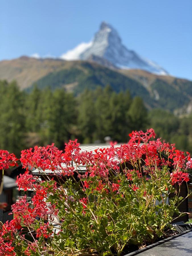 Chalet Bull Zermatt Buitenkant foto